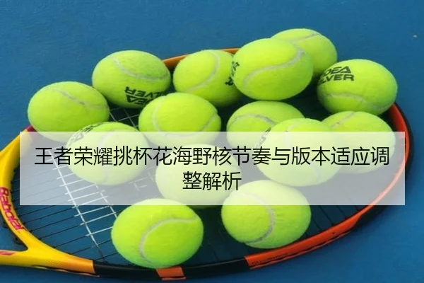 wang-zhe-rong-yao-tiao-bei-hua-hai-ye-he-jie-zou-yu-ban-ben-shi-ying-tiao-zheng-jie-xi-3-246.jpg