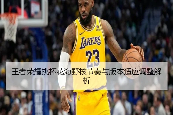 王者荣耀挑杯花海野核节奏与版本适应调整解析