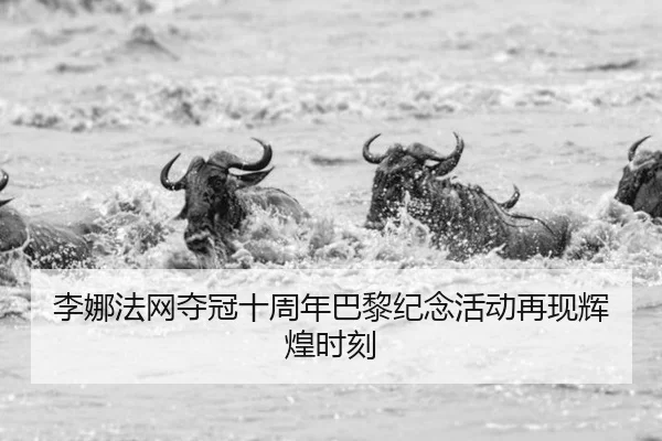 李娜法网夺冠十周年巴黎纪念活动再现辉煌时刻