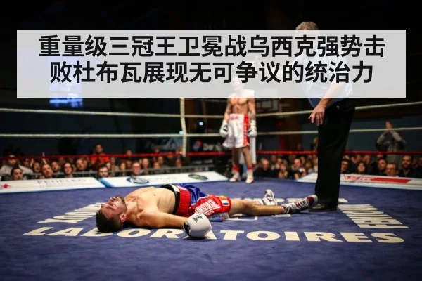 boxer knockout