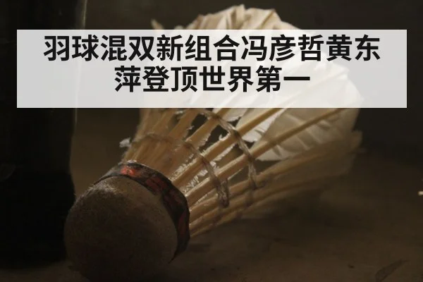 羽球混双新组合冯彦哲黄东萍登顶世界第一