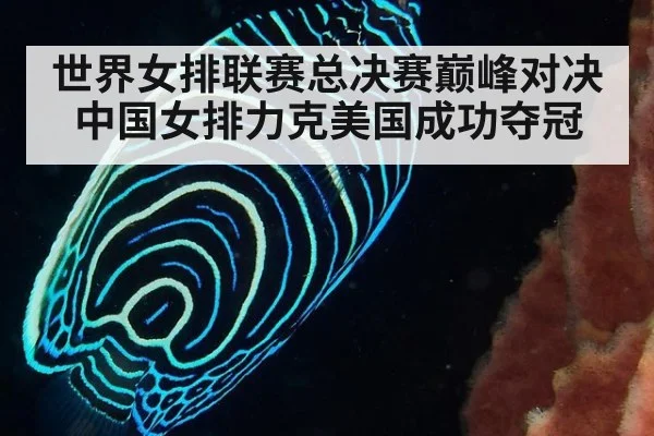 世界女排联赛总决赛巅峰对决中国女排力克美国成功夺冠