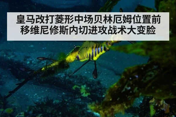 皇马改打菱形中场贝林厄姆位置前移维尼修斯内切进攻战术大变脸