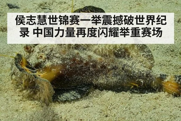 侯志慧世锦赛一举震撼破世界纪录 中国力量再度闪耀举重赛场